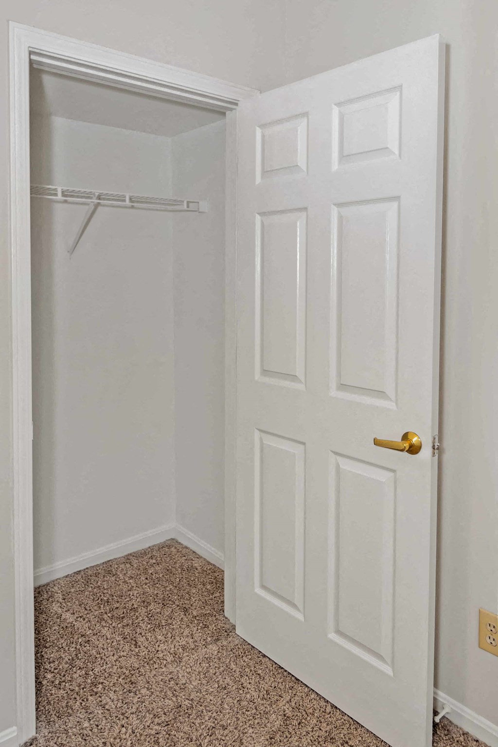 A white door with a gold handle is open to a white closet.