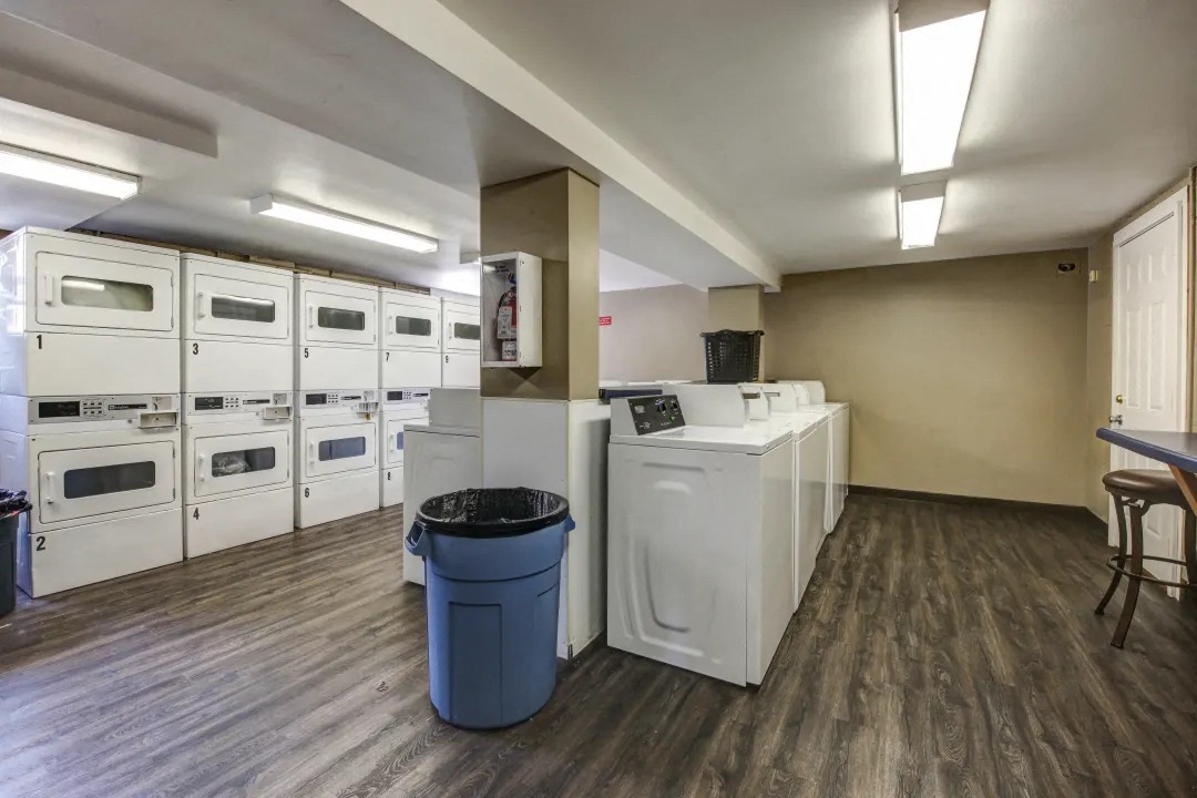 a laundry room with washes and dryers and a counter with a trash can