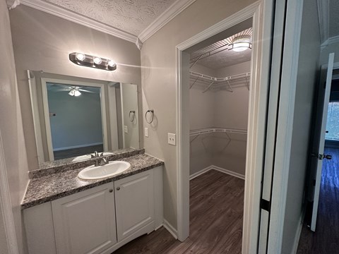 A bathroom with a sink, mirror, and light fixture.