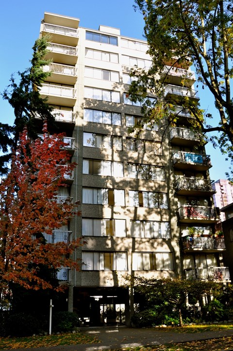 A tall building with balconies and a tree with red leaves in front.
