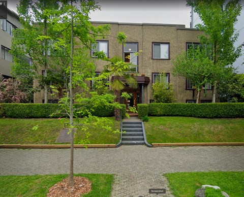 A tree in a small garden in front of a building.