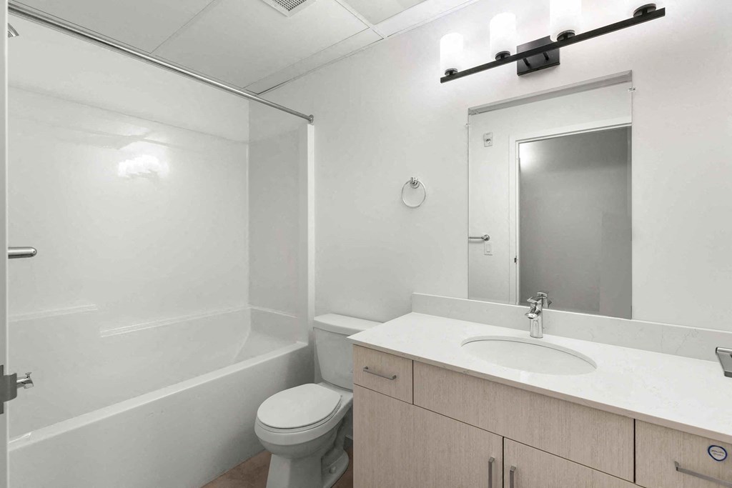 a bathroom with a sink and a toilet and a mirror