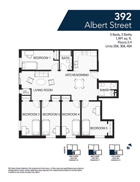 A floor plan for a 392 Albert Street shows 5 bedrooms, 2 bathrooms, and a living room.