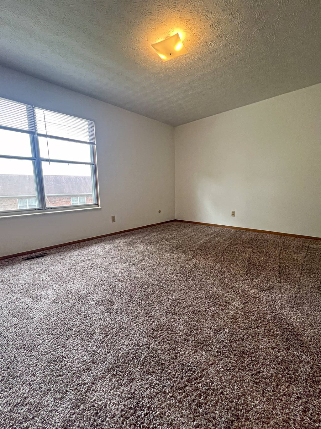 an empty living room with carpet and a window