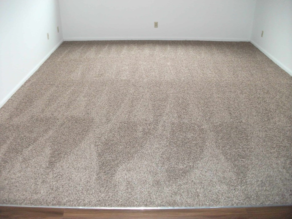 a carpeted room with a wooden floor and a white wall