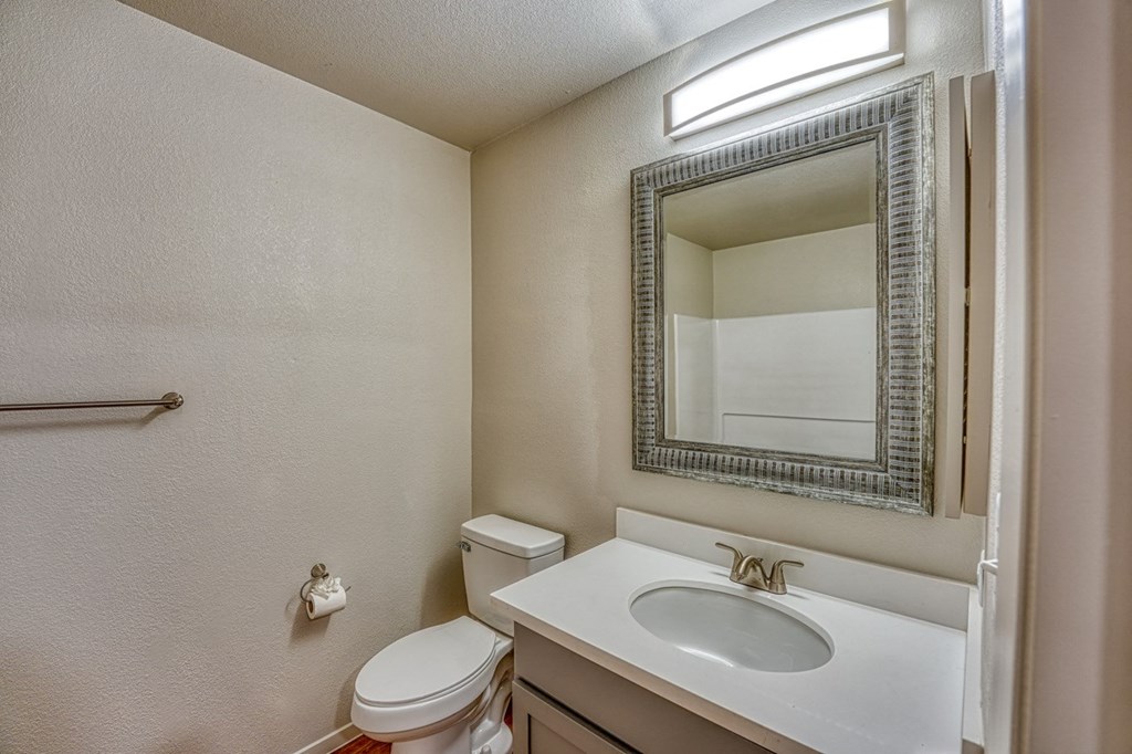 a bathroom with a sink and a mirror and a toilet