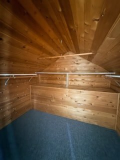 A wooden room with a blue carpet.