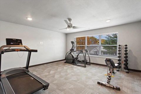 the gym in the owners suite has a treadmill and weights