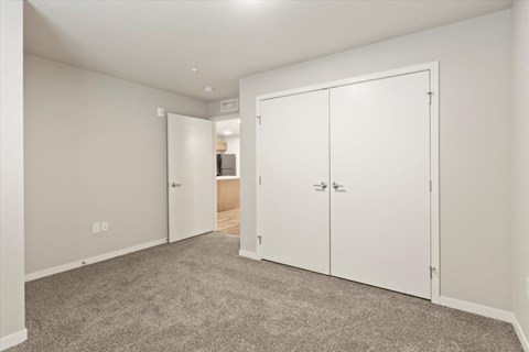 a bedroom with two closets and a carpeted floor