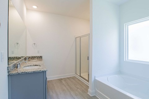 A bathroom with a sink, mirror, and bathtub.