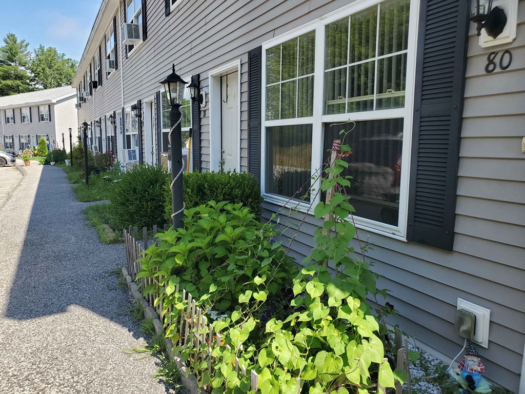 the side of a house with plants in front of it