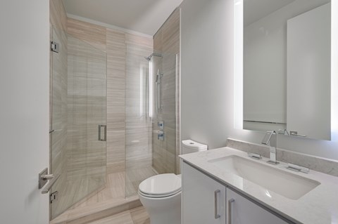 A modern bathroom with a walk-in shower and a toilet.