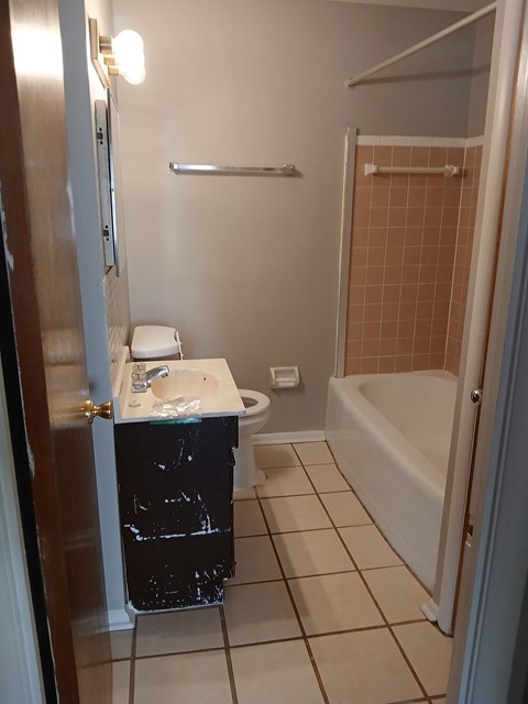 a bathroom with a sink and a toilet and a shower