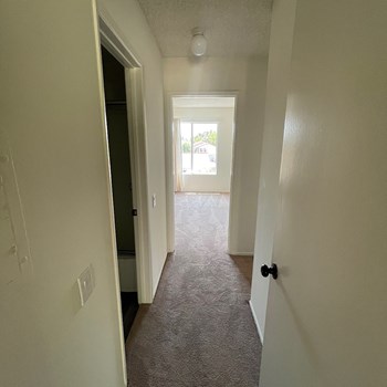 101 W Avenida De Los Arboles Studio-3 Beds Apartment for Rent - Photo Gallery 8