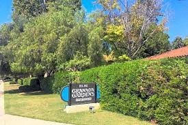101 W Avenida De Los Arboles Studio-3 Beds Apartment for Rent - Photo Gallery 2