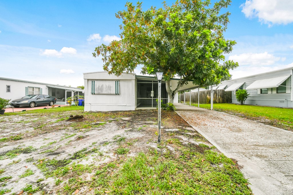 A tree stands in front of a white building with a car parked in the background.