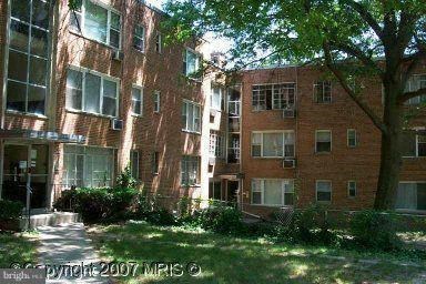 an apartment building with a large tree in the yard