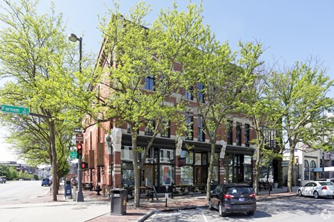 A tree with green leaves in front of a building.