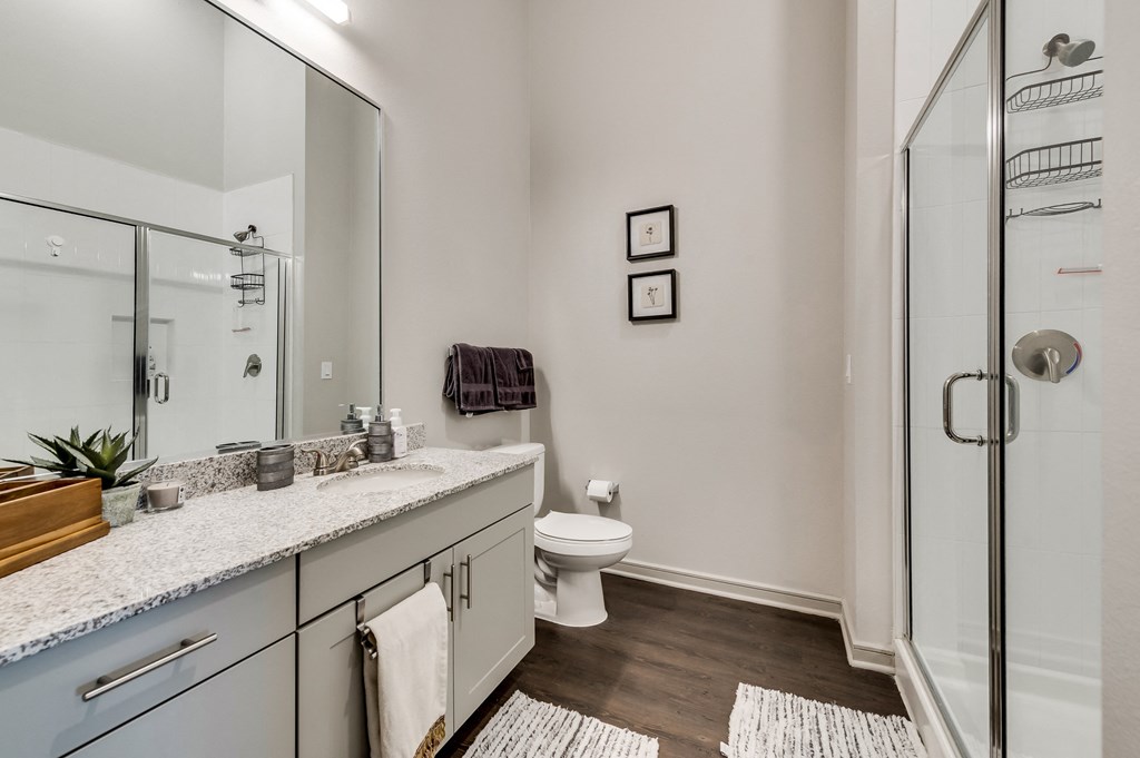 a bathroom with a large mirror and a toilet and a shower