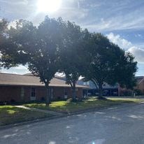 a house with trees in front of it on a street