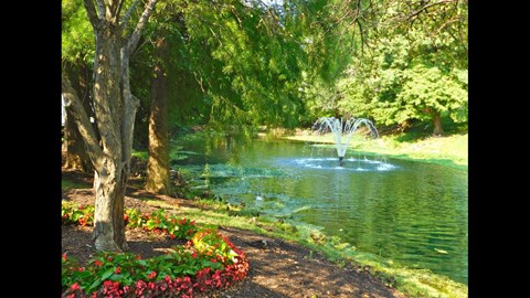 a fountain in a pond in a park
