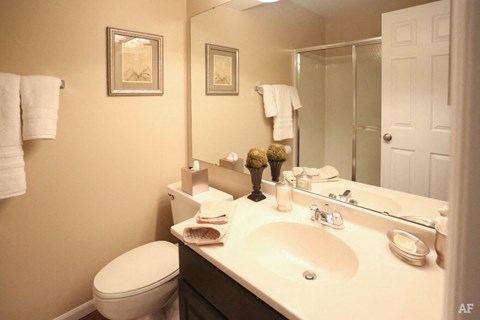 a bathroom with a sink toilet and a mirror