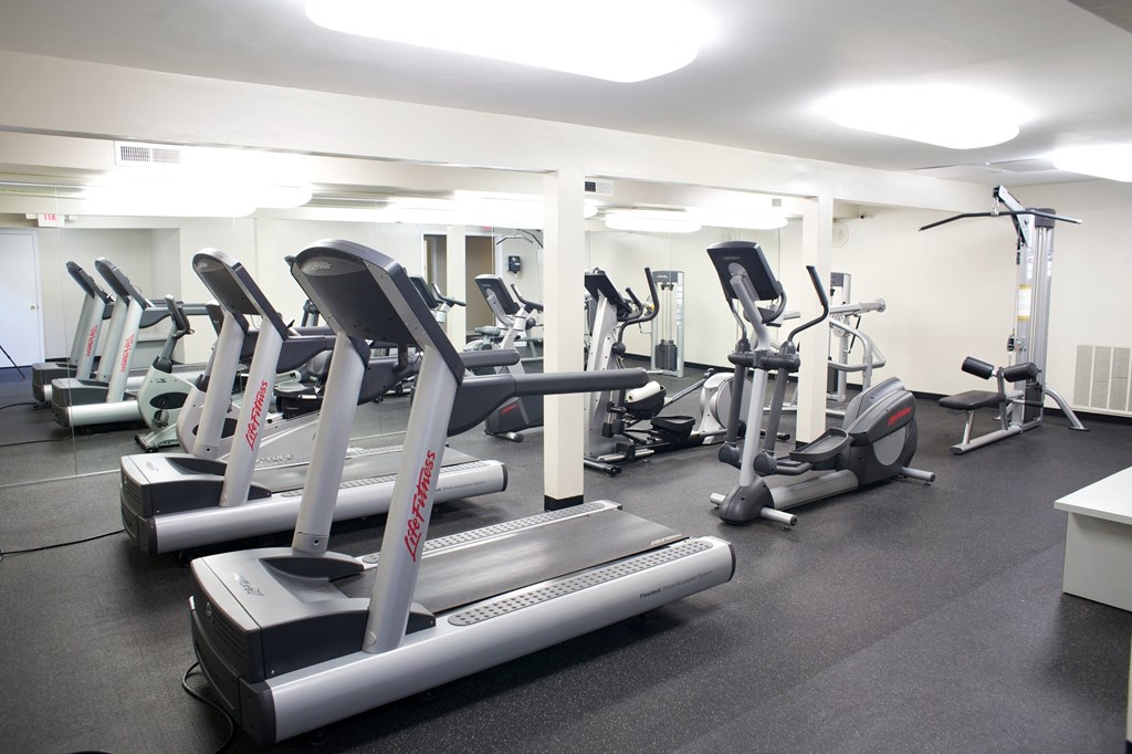 a row of treadmills and other exercise equipment in a gym