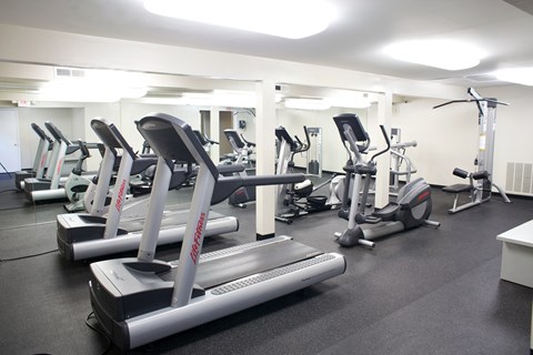 a row of treadmills and other exercise equipment in a gym