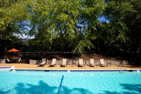 a swimming pool with a row of chairs and a pool