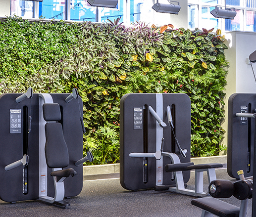 Bakery Living Blue Fitness Center