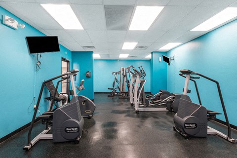 A gym with treadmills and elliptical machines.