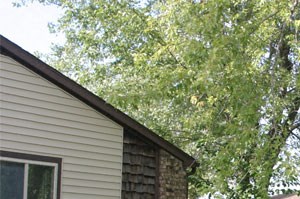 Rocktree Exterior 3