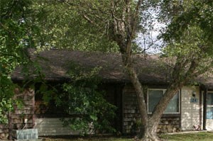 Rocktree Exterior 4
