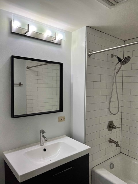 a bathroom with a sink and a mirror and a shower