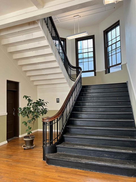 a large staircase in a house with a plant