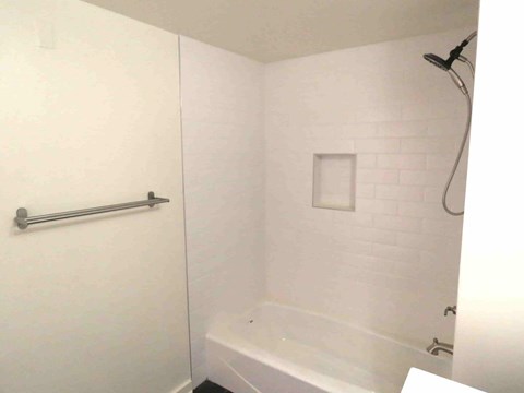 a bathroom with a shower and a bath tub