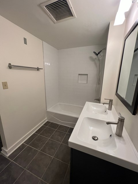 a bathroom with a sink and a shower and a mirror