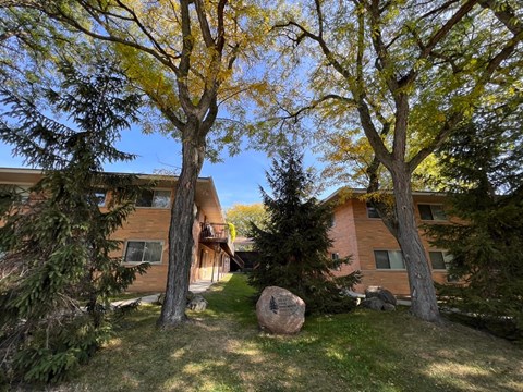 203 S. Harris St. 1-2 Beds Apartment for Rent