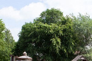 Glenwood Manor Exterior 3