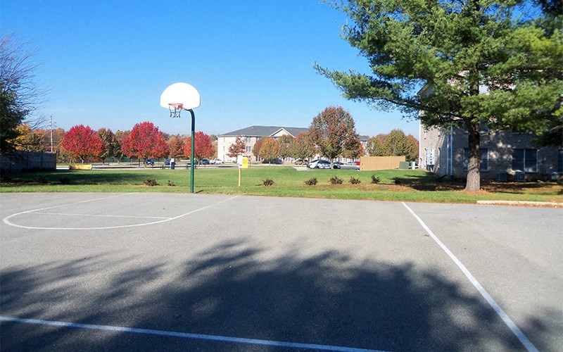 a basketball court in a park with trees and a building