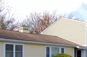 Pet Friendly Apartments For Rent Scarborough Pet Friendly Apartments For Rent Scarborough