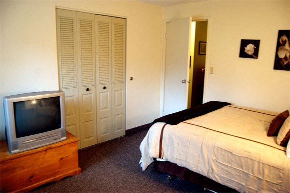 a bedroom with a tv and a bed