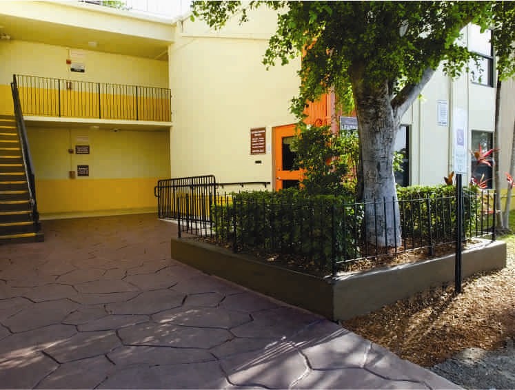 a building with a tree and a courtyard in front of it