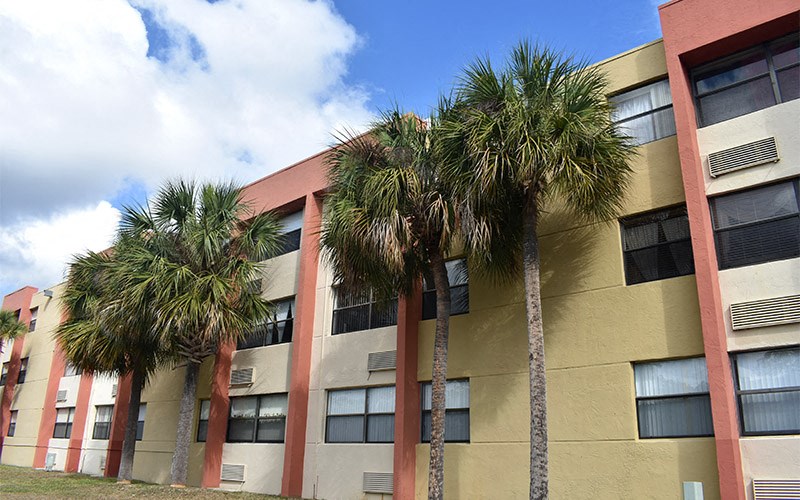 a group of palm trees in front of a building