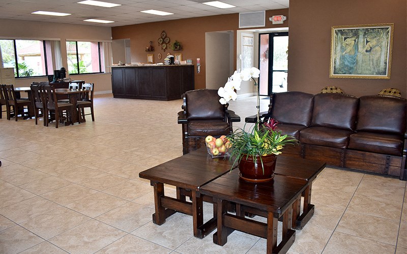 a living room with leather furniture and a table with a plant