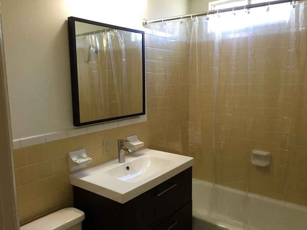a bathroom with a sink and a mirror and a shower