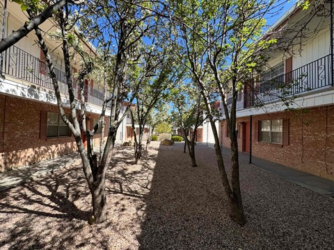 A tree-lined walkway between two buildings.