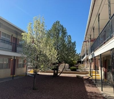 A tree with white blossoms stands in the middle of a gravel courtyard.