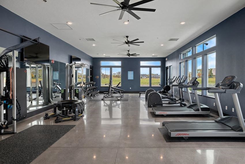 the gym is equipped with a variety of weights and cardio equipment