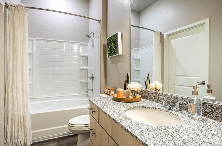 a bathroom with a sink and a toilet and a shower